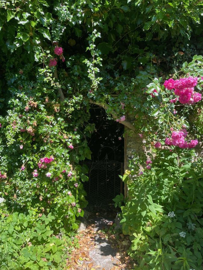 Trinity Lodge Annexe Ντόρτσεστερ Εξωτερικό φωτογραφία